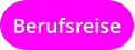 Berufsreise