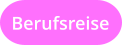 Berufsreise