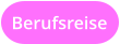 Berufsreise