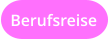 Berufsreise