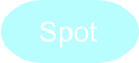 Spot