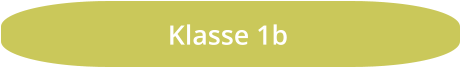 Klasse 1b
