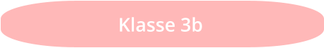 Klasse 3b